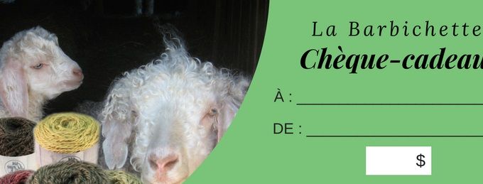 Procurez-vous un chèque-cadeau échangeable sur tous nos produits.